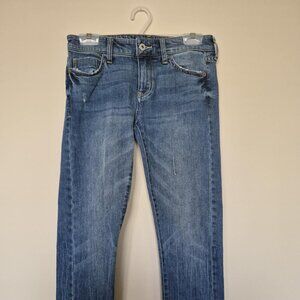 Pilcro by Anthropologies jeans denim Slim Boyfriend 26 pants *LIKE NEW*